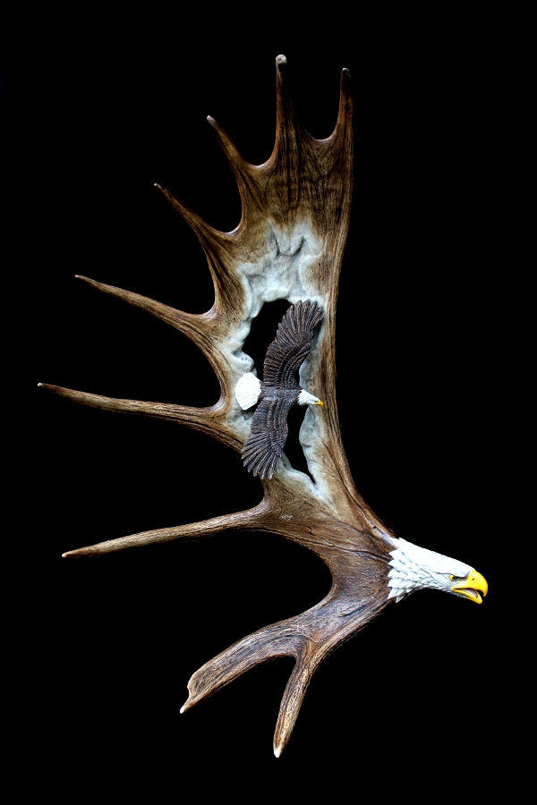 Flying Eagles Antler