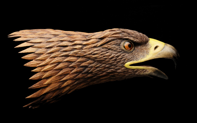 Walnut Eagle