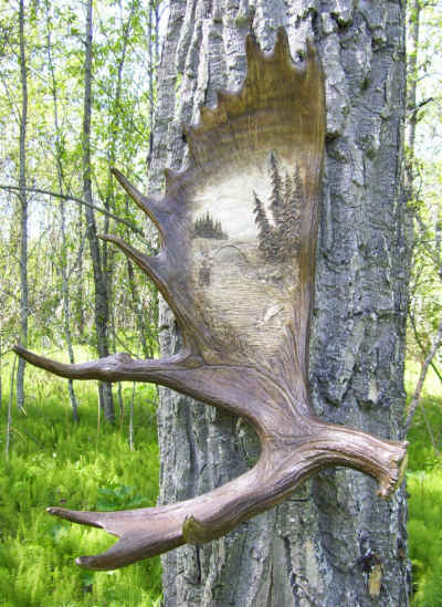 Moose Antler Carving