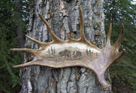 Moose Antler Carving