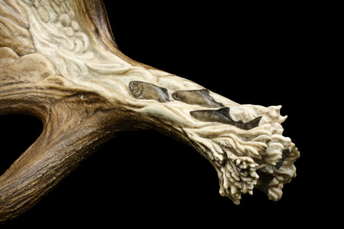 Moose Antler Carving