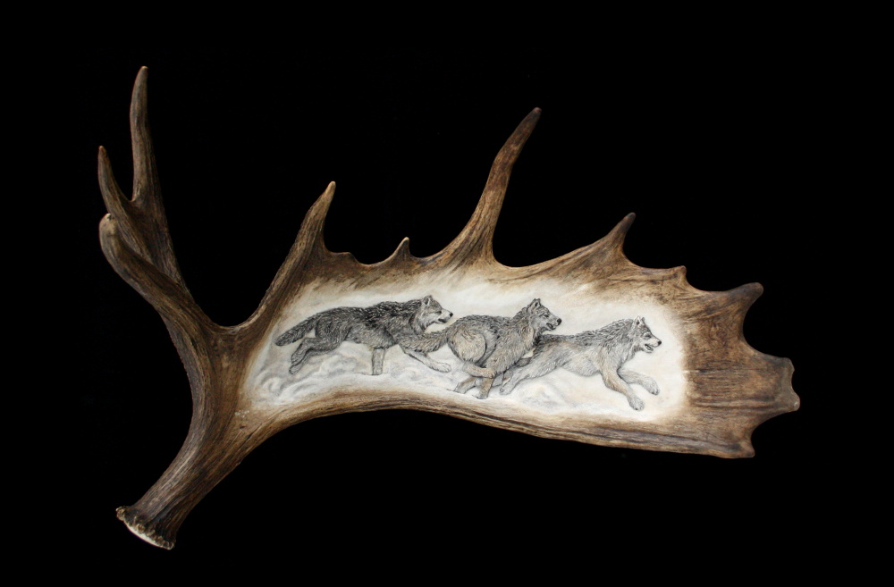 Moose Antler Carving