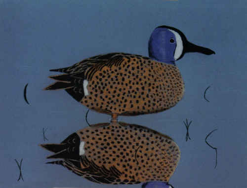 Blue-winged Teal