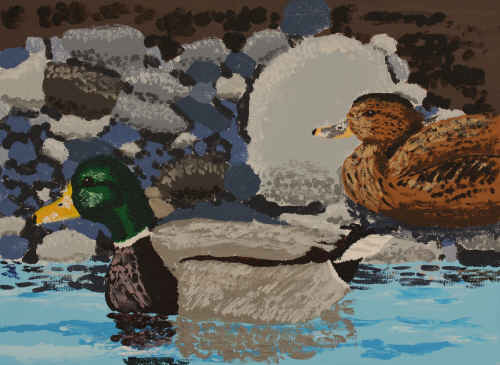 Mallards