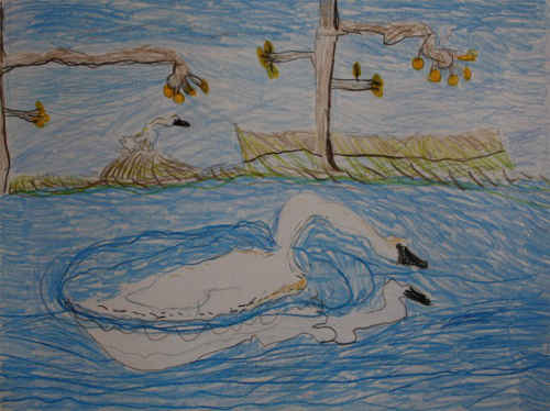 Trumpeter Swans